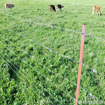 Clôture de 2,4 m de hauteur pour le cheval